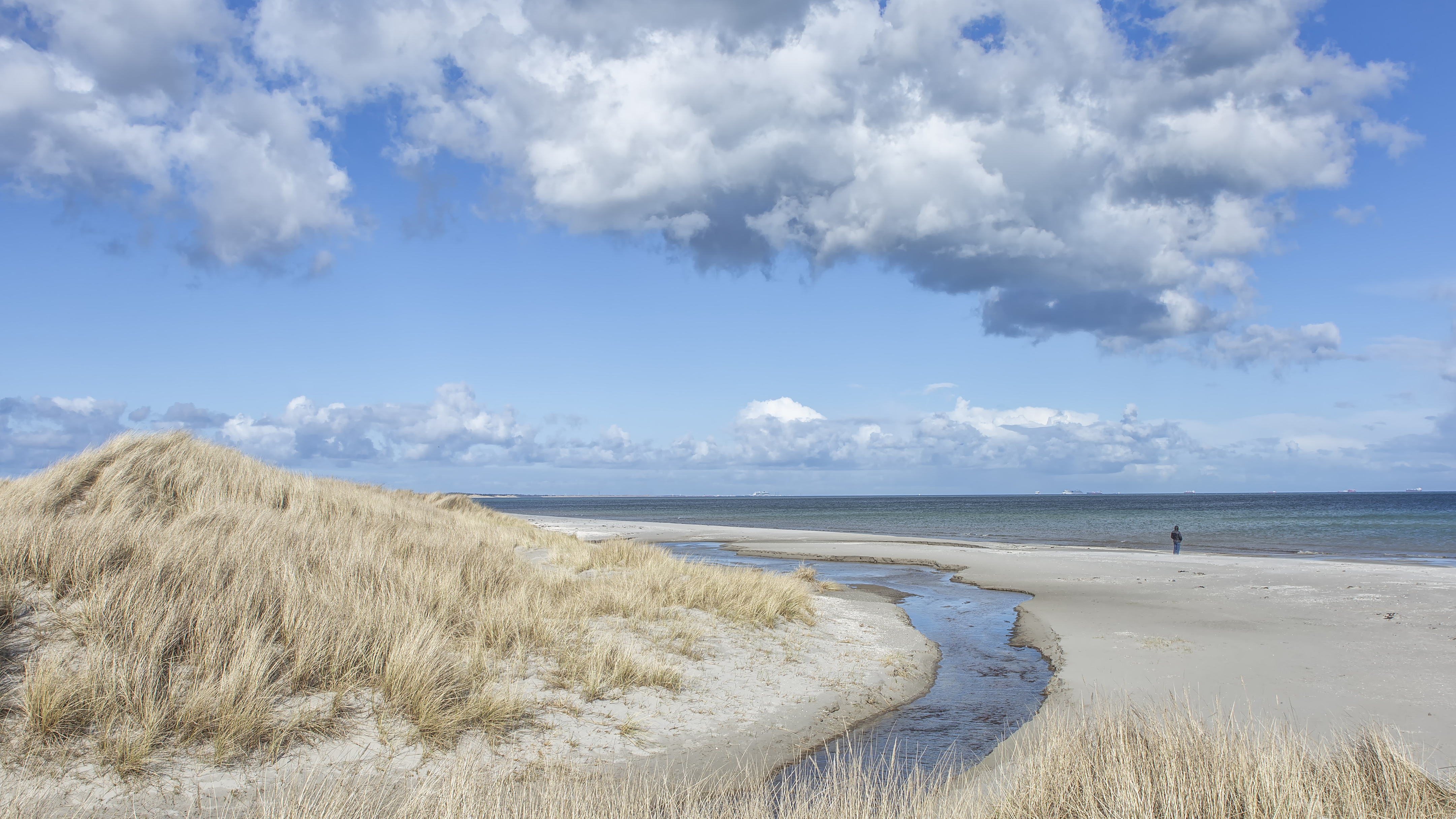 Kold april ved stranden Kold april ved stranden