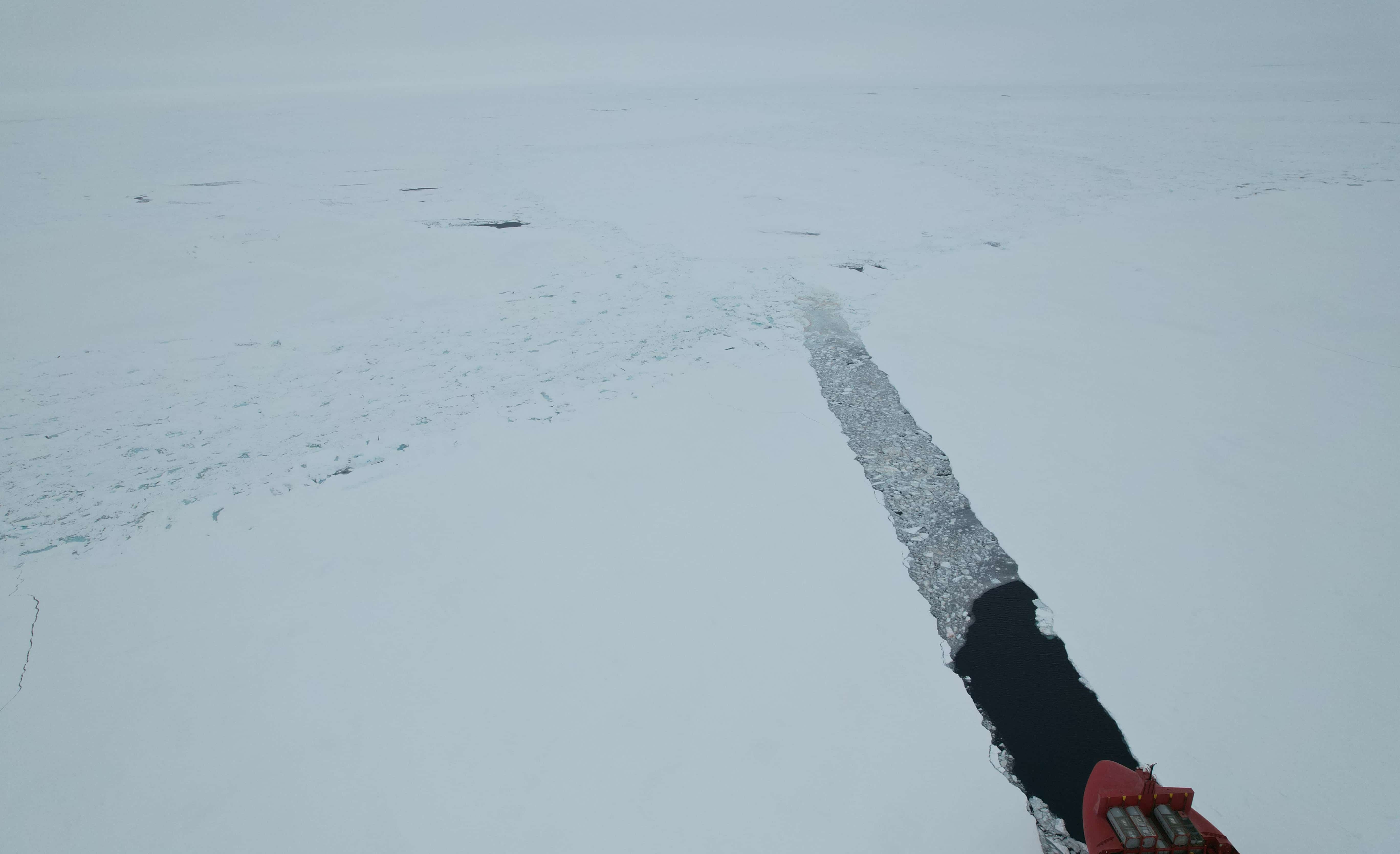Dronebillede: Malik Arctica, Royal Arctic Line