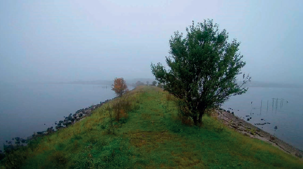 Den gamle banedæmning ved Roskilde Fjord