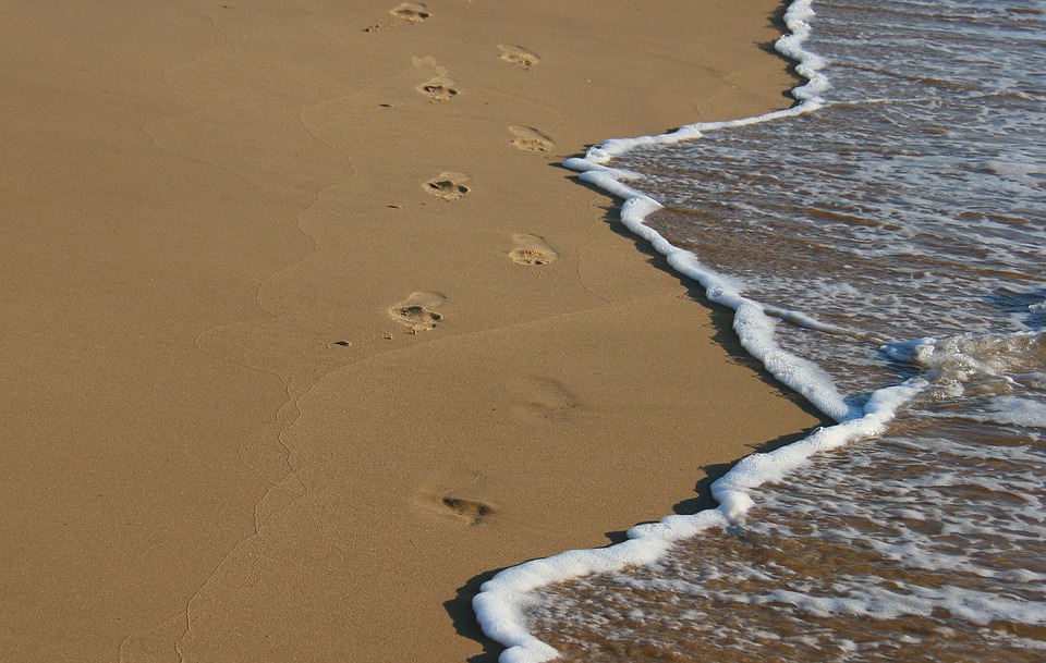 Billede af strandkant Billede af strandkant