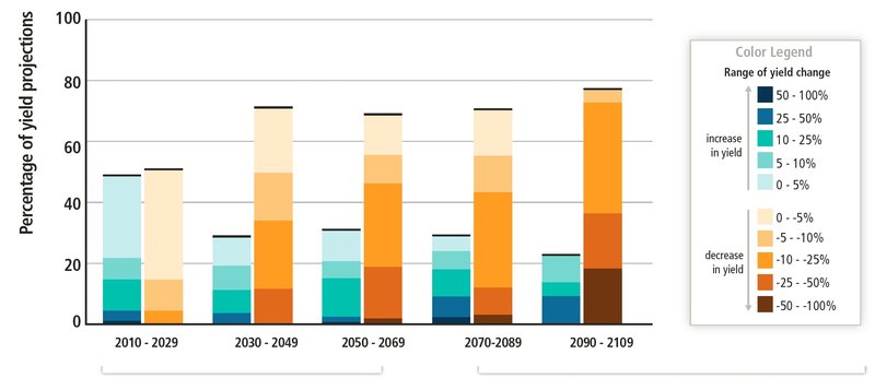 Forventede ændringer i høstudbytte som følge af klimaforandringer over det 21.