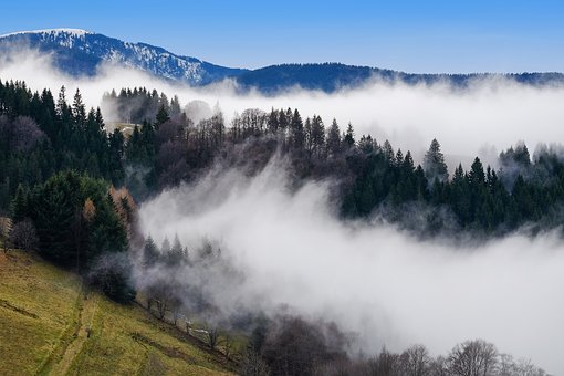 Vanddamp fra naturen