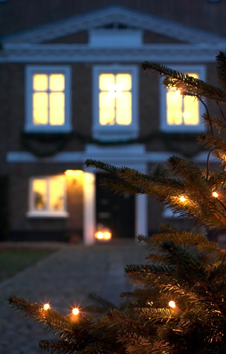 Juletræ foran hus