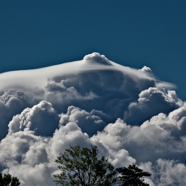 Skytype CL2 Cumulus congestus pileus