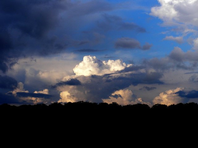 Skytype CL3 Cumulonimbus calvus, bygesky uden ambolt