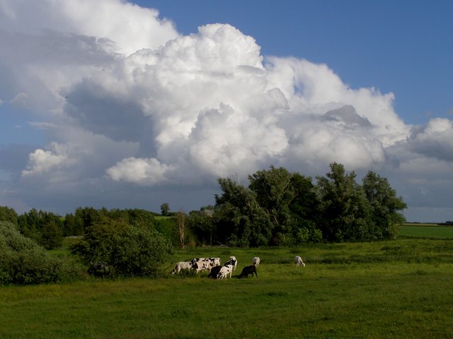 CL2 Cumulus congestus