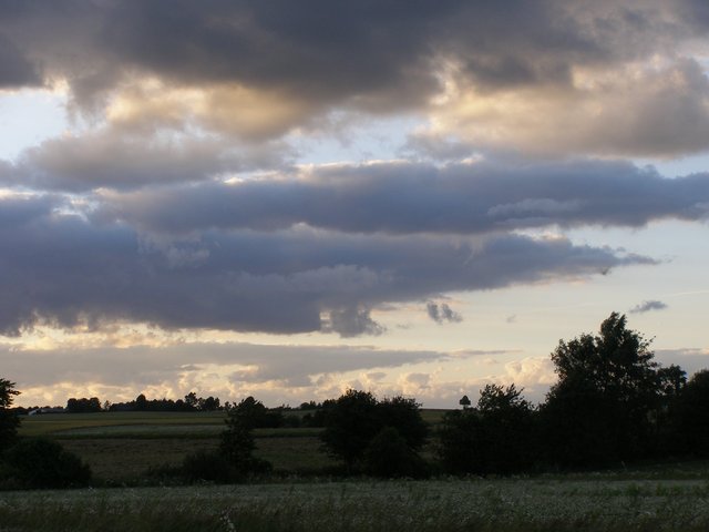 Skytype CL4 Stratocumulus cumulogenitus