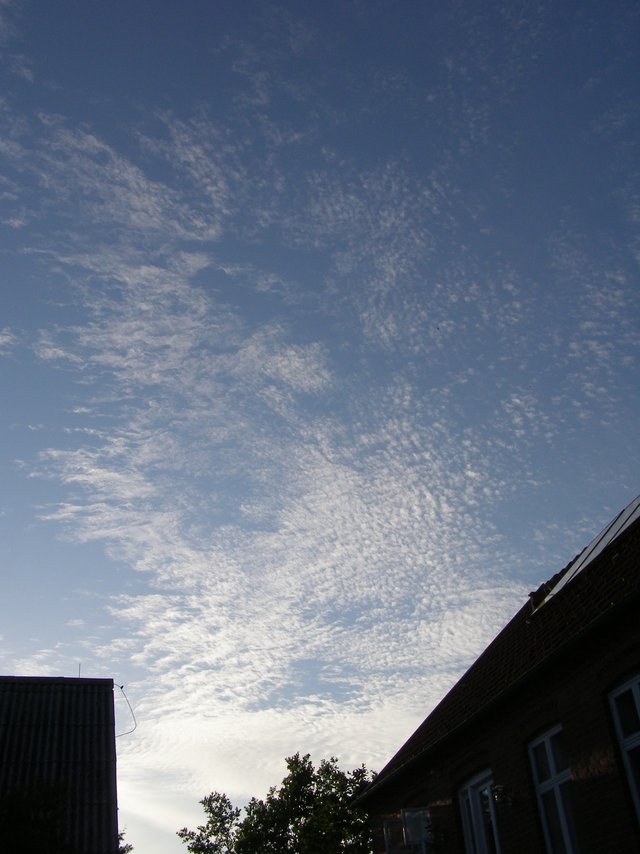 Skytype CH9 Cirrocumulus lacunosus