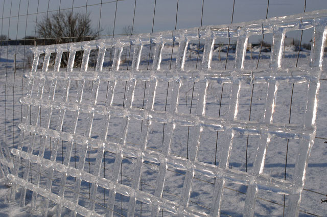 Isslag på hegn