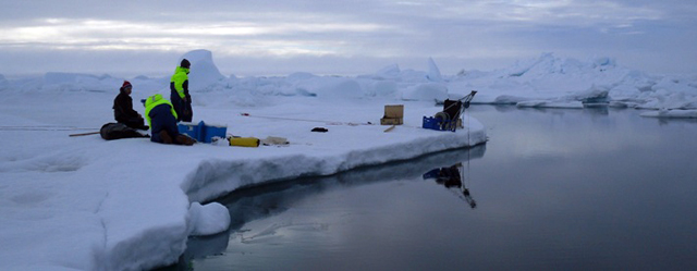 forskere på havis