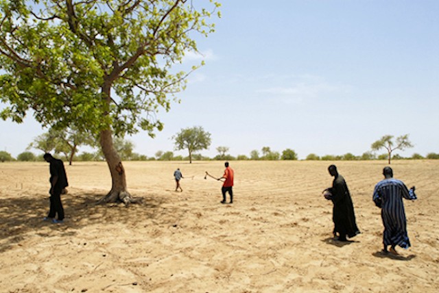 Markarbejde i Niger