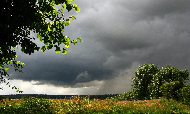 Grå himmel