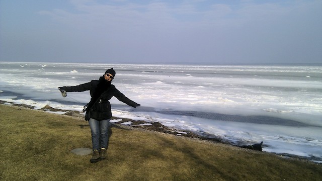 Ishav på strand