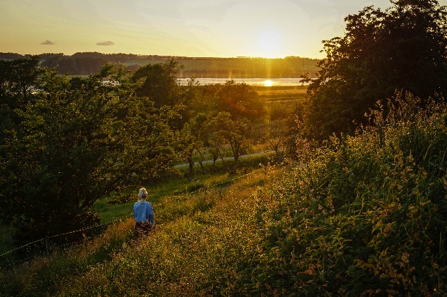 Sommeraften