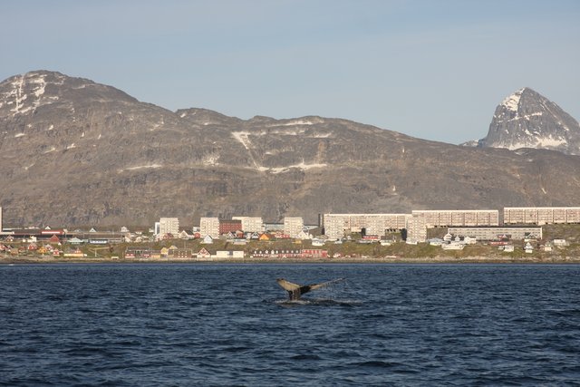 Med byen Nuuk i baggrunden.