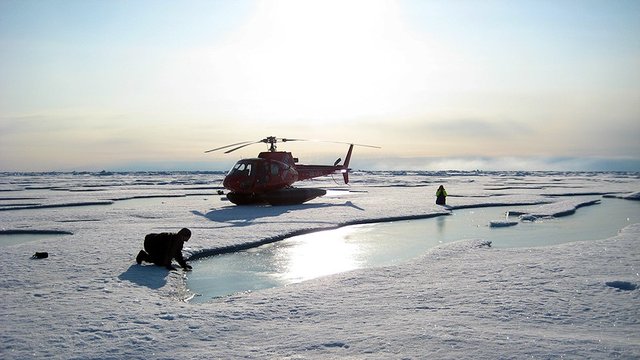 Feltarbejde på havisen ikke langt fra Nordpolen.