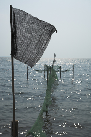 Fiskegarn Fiskegarn