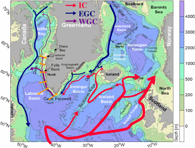 Illustration af overfladehavstrømme ved Grønland