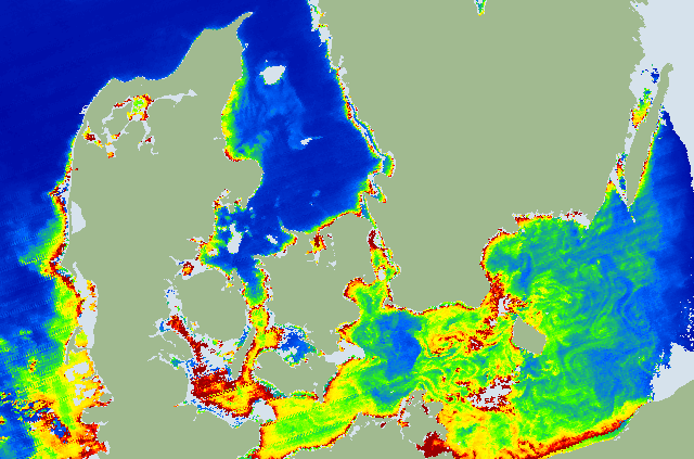 Satellitbillede af algekoncentrationen i danske farvande.