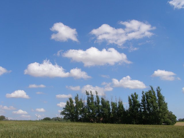 Skytype CL1 Cumulus humilis