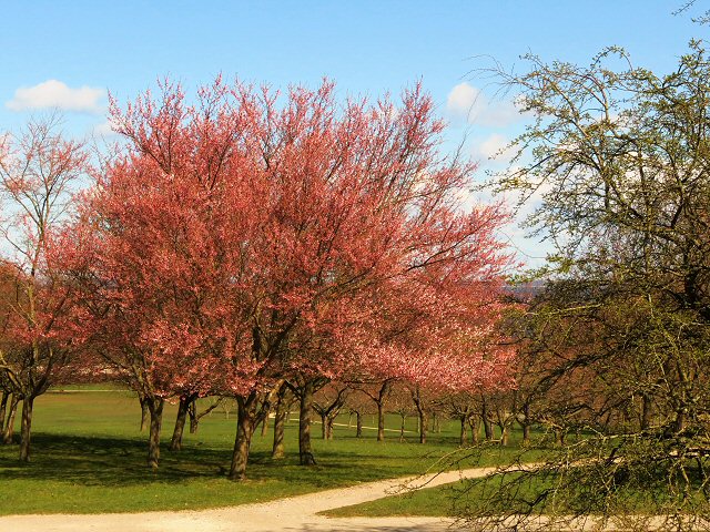 Mindeparken i Århus