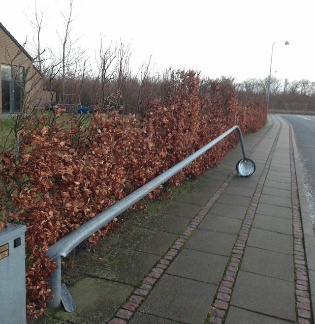 Væltet lygtepæl Væltet lygtepæl